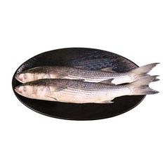 Mullet Griż Iffriżat