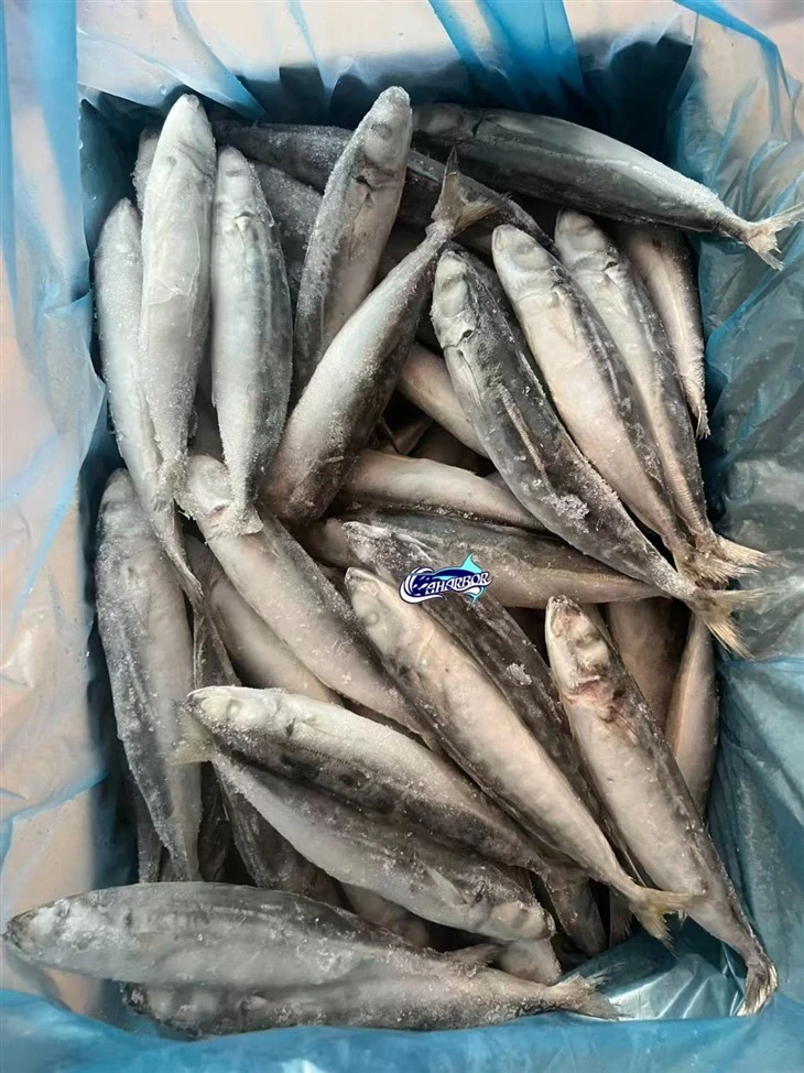 Frozen Muroaji Fish factory