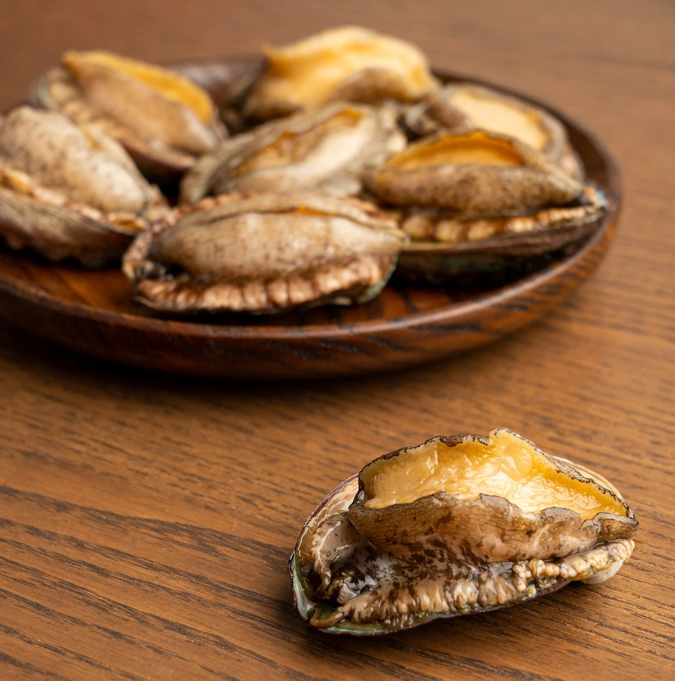 abalone2 abalone2