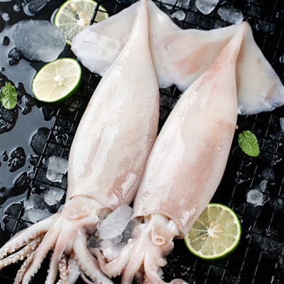Ample Supply Is Suppressing Prices, And The Global Squid Market Has Entered A Period Of Low-level Competition.