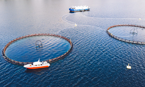 Global Aquaculture Industry Production Expected To Grow Significantly in 2025