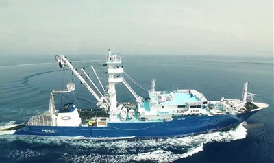 Falklands Fishing Fleet Secures Future With New Squid Biomass Agreement