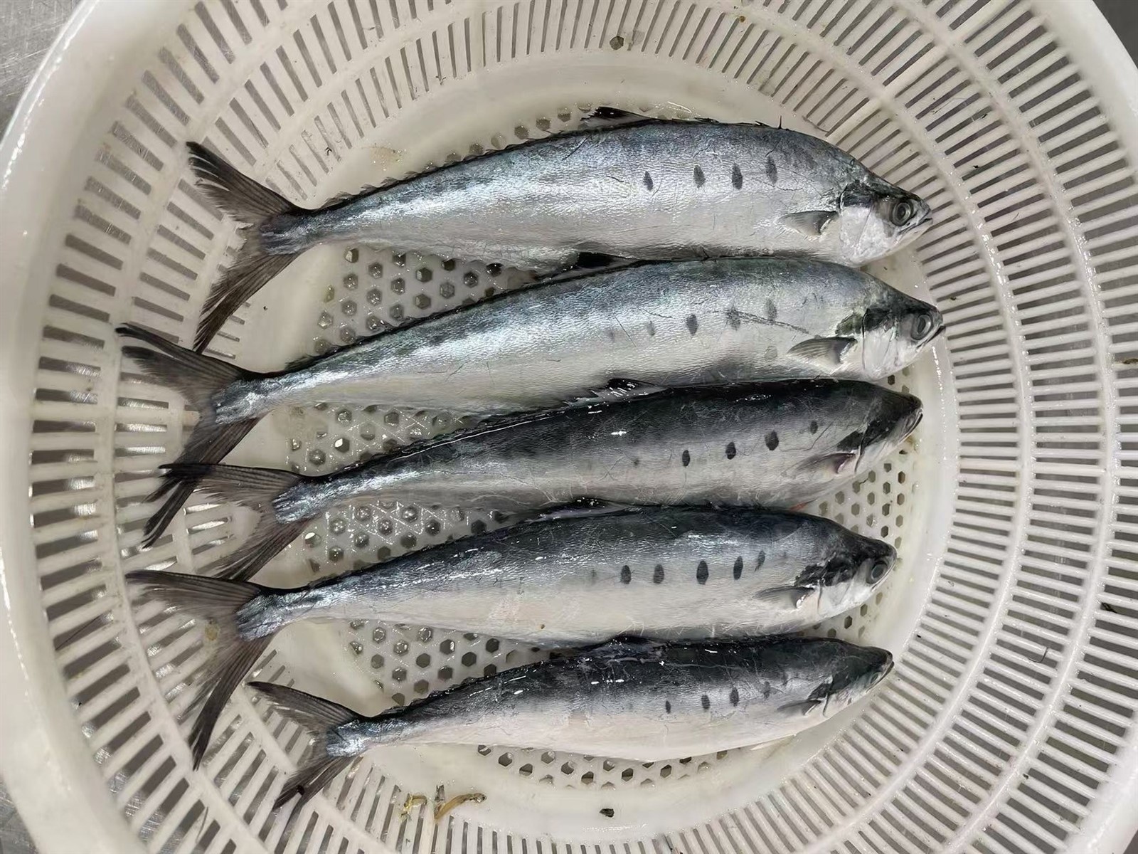 p7 p7